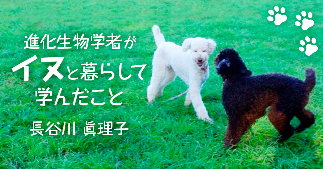 イヌの起源 | 進化生物学者がイヌと暮らして学んだこと | せかいしそう